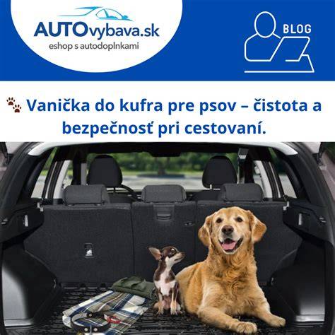 Rady pre návštevníkov psích parkov: čistota, bezpečnosť, dohľad