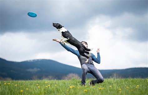 Infografika: Rôzne disciplíny dogfrisbee (Apoport, freestyle, distance)