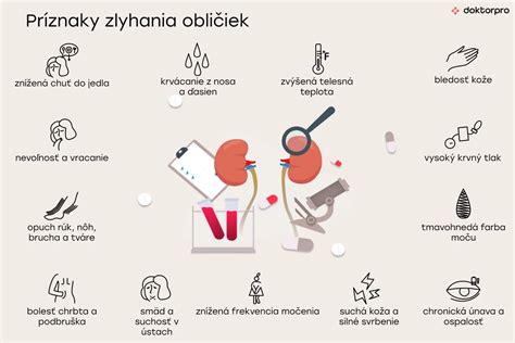 Infografika: Ako fungujú obličky a čo sa deje pri zlyhaní