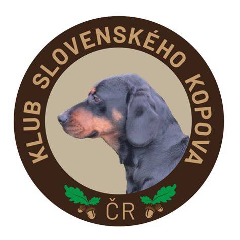 Infografika: Štandard slovenského kopova a rozmery tela
