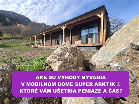 Graf: Výhody hypoalergénnych plemien pre bývanie v meste