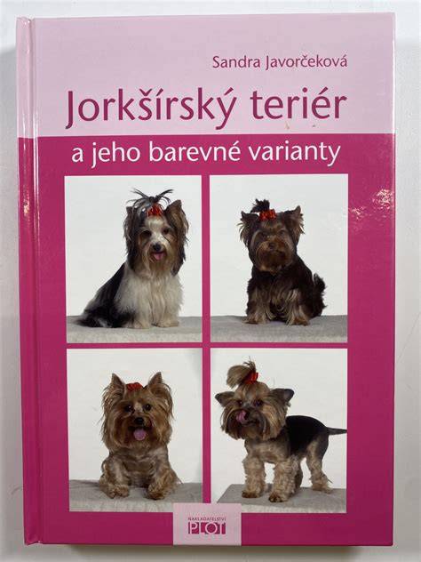 Welšský teriér - vizuálny portrét a farebné varianty