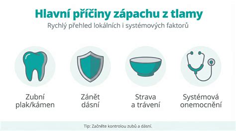 Infografika: Hlavné príčiny zápachu z tlamy psa a ich riešenia