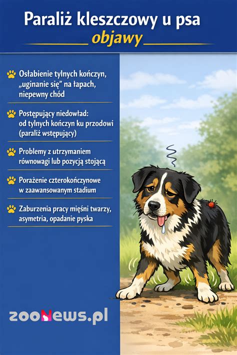 Infografika: Rozdiel medzi bežným nachladnutím a pneumóniou u psa