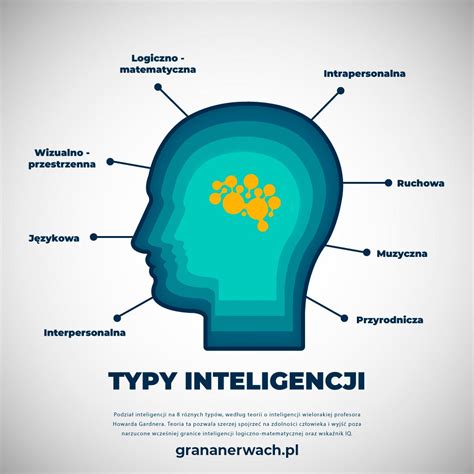 Infografika: typy psích povahových mozgov