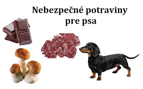 Obr. 4: Potraviny nevhodné pre psa: čokoláda, cibuľa, cesnak a iné potenciálne toxíny.