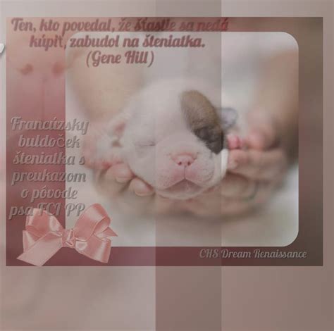 Ilustrácia psa s preukazom o pôvode