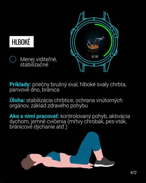 Infografika: Ako efektívne socializovať ridgebacka