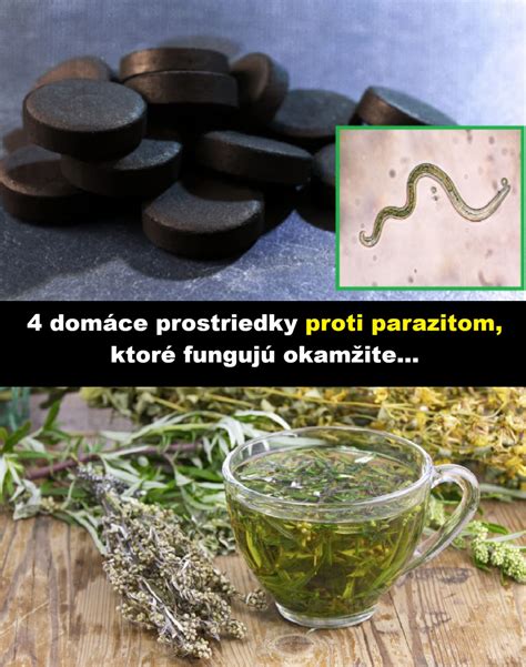 Infografika: Ako funguje obojok proti parazitom a porovnanie typov antiparazitik