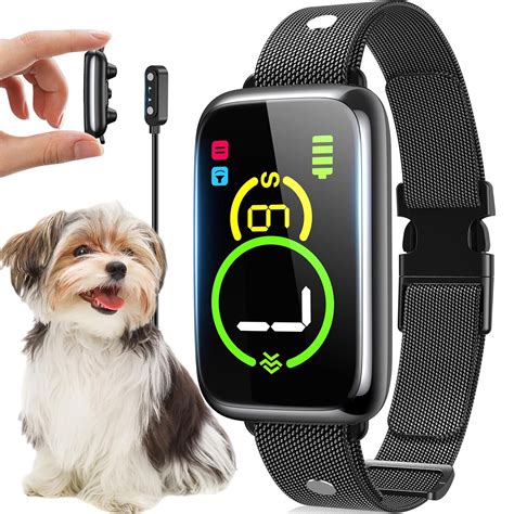 Bezpečný domov pre psa