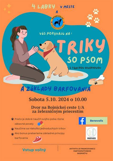 Obrazová ilustrácia k filmu: postava Lang so psom v opustenom meste