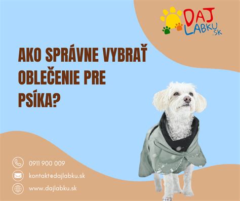 Ilustrácia: Ako vybrať vhodné topánky pre psa