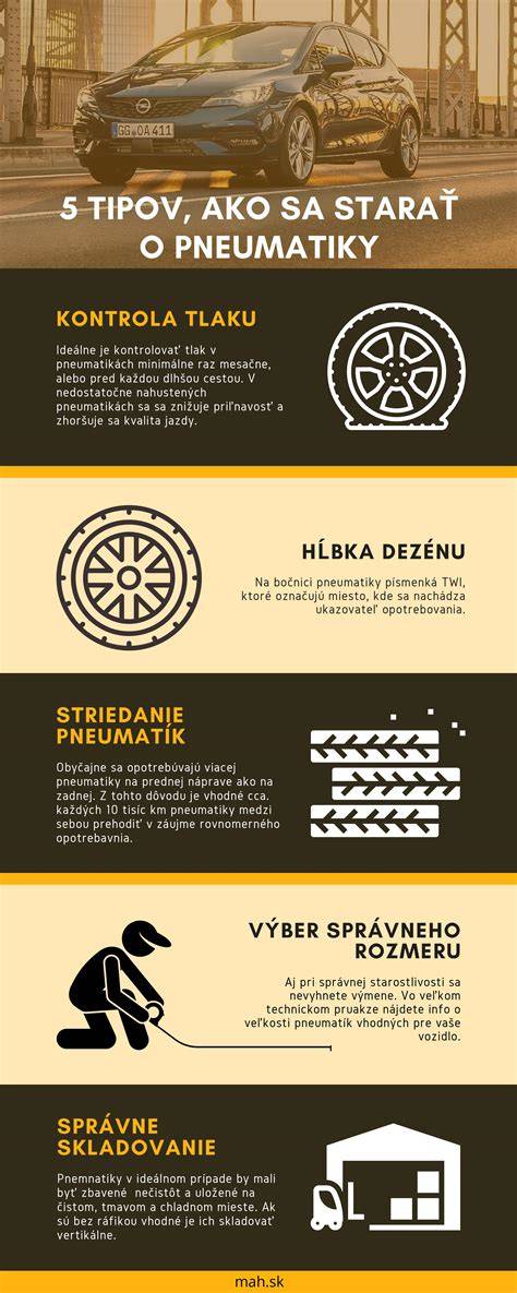 Infografika: Ako správne česať a starať sa o srsť špica