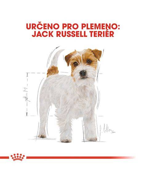 Infografika: Náklady na starostlivosť o Jack Russell teriéra