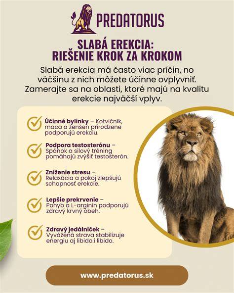 Infografika: Ako vycviči Cane Corso krok za krokom