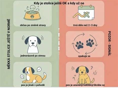Infografika: Rozdelenie príčin krvavej stolice psa (dolný vs. horný tráviaci trakt)