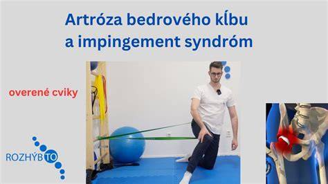 Infografika: anatomia a fungovanie bedrového kĺbu psa