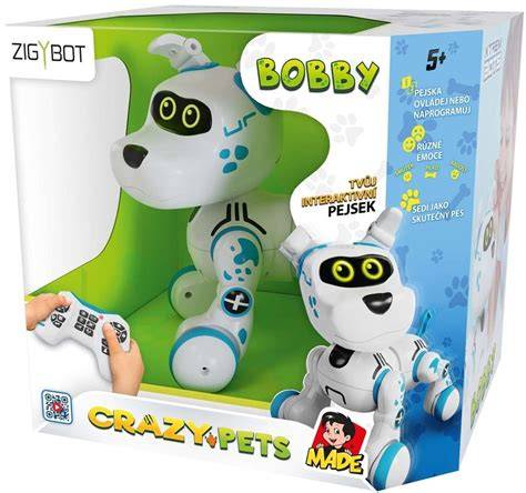 Obrázok: Zigybot Bobby a jeho ovládanie