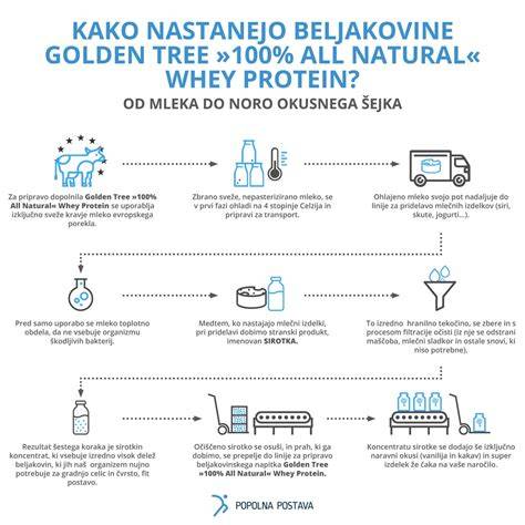 Infografika: Pôvod labradora od Newfoundlandu po Anglicko