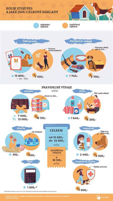 kresleny_rozzureny_pes_infografika