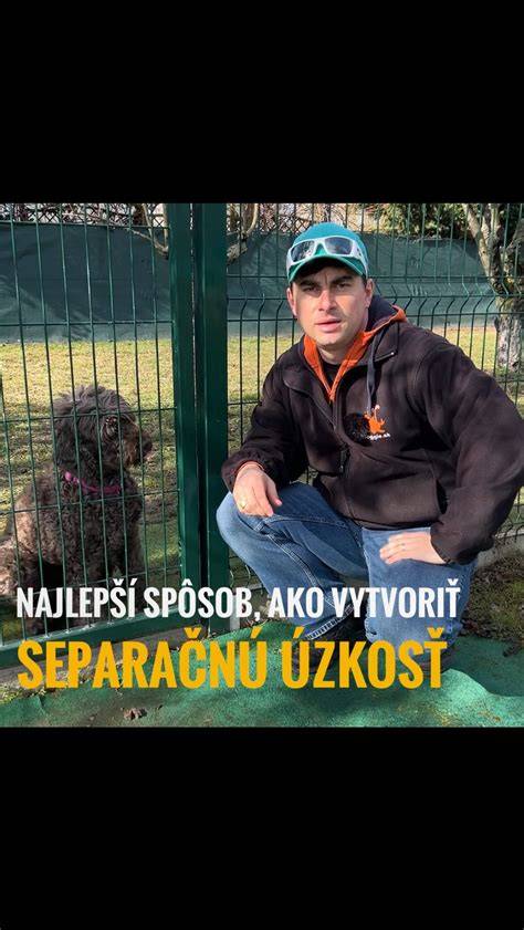 Infografika: Princípy pozitívneho výcviku a znaky separačnej úzkosti