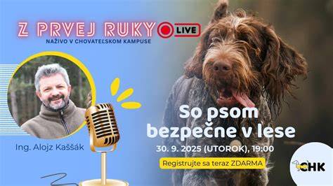 Infografika: Ako viesť hru so psom bezpečne a efektívne