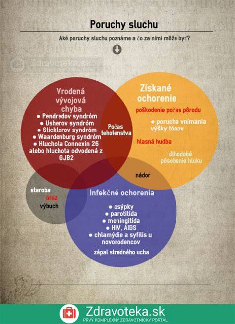 Infografika: Rozsah sluchu psa a proces spracovania zvukov