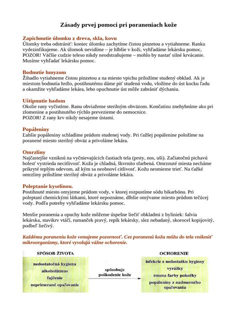 Infografika o krokoch prvej pomoci pri poraneniach psov a detí