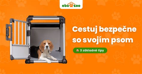 Bezpečnostné opatrenia pri cestovaní so psom v aute
