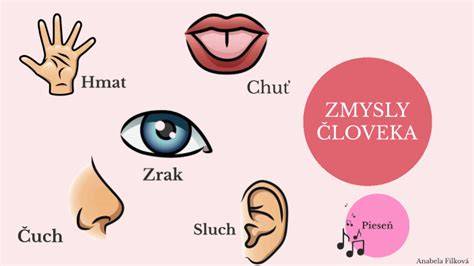 Infografika: Zmysly psa vs. človeka - čuch, sluch a zrak v porovnaní s prostredím les vs. mesto