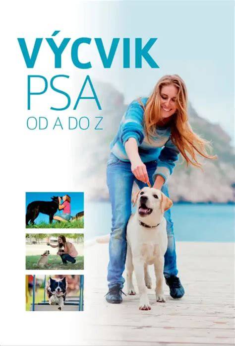 Obrázok znázorňujúci výcvik psa na močenie vonku