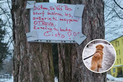 Pes značkujúci na strome
