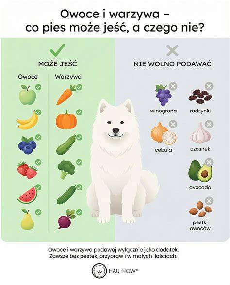Infografika: Kroky výberu psa do rodiny - zohľadnenie životného štýlu, veľkosti, povahy a potrieb detí