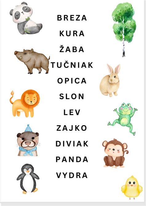 Infografika: Význam a použitie prirovnaní so slovom pes