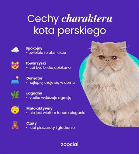 Infografika: Vzhľad a charakter samojeda