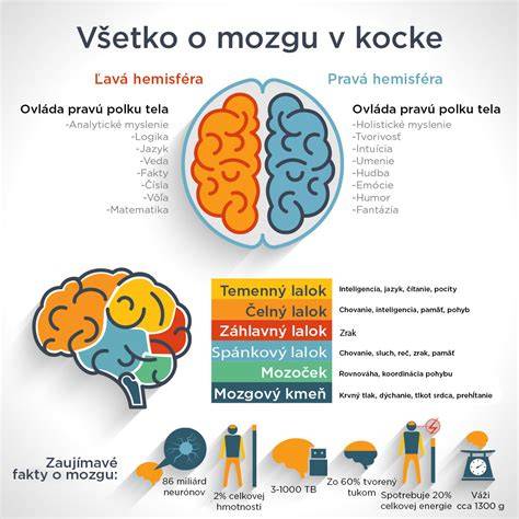 Infografika: Všetko o výške, váhe, hlave a svalovom ráme amstaffa