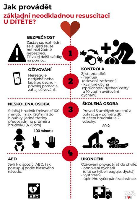 Infografika: Základný postup KPR pre psov