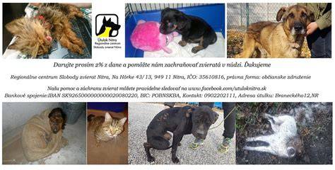 útulok - veterinárne vyšetrenie