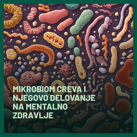 Diagram črevno-mozgová os a mikrobiom dieťaťa
