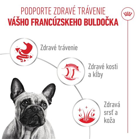 Infografika: Vzor zloženia krmiva pre francúzske buldočky