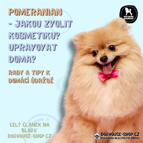 Štruktúra srsti pomeraniana