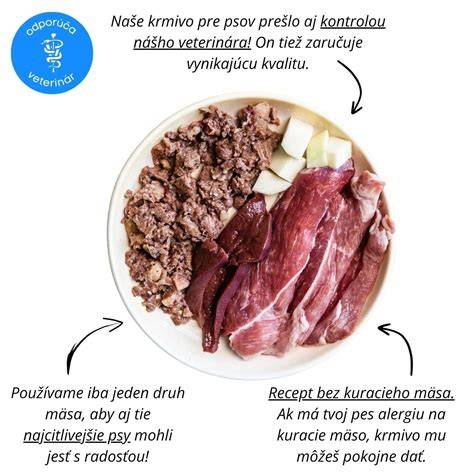 Infografika: ponaučenia z bájky o psovi a kúsku mäsa - spokojnosť a rozum